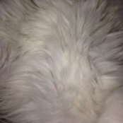 Mimi Buhagiar's photo