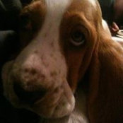 Angela Chiasson's photo
