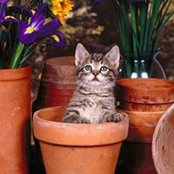 Lynn Kurzava's photo