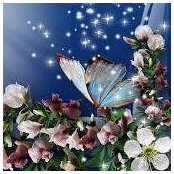 Rosie Steele's photo