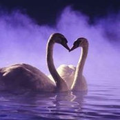 Monique Falla's photo