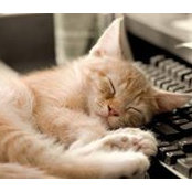 Adelina Weber's photo