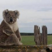 Donna Guy's photo