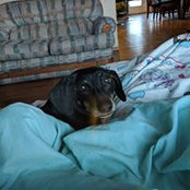 Lise Mitchler's photo