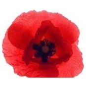 Christina Vink's photo