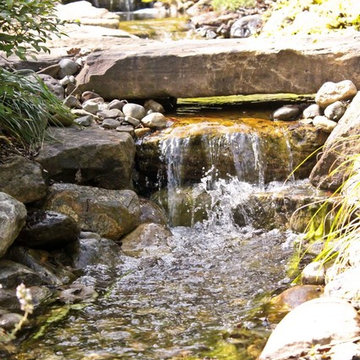 Werner Water Garden