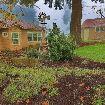 Before & After Master Gardener Makeover Design: Rain Garden around Island Lawn
