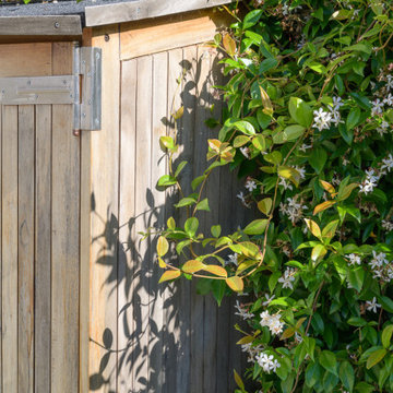 Modern Garden Design in North London