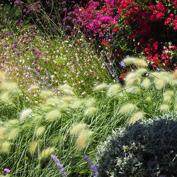 Walled Courtyard Garden