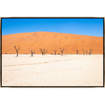 36x24 Namibian Skeleton Trees XVII, Framed Artwork, Silver