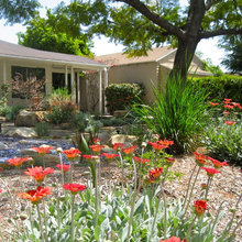 Lawnless Landscapes