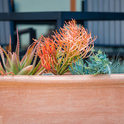 Sonos Headquarters, Santa Barbara, CA - Outdoor Products