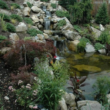 Ideally Situated Pond