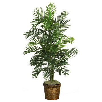 4.5' Areca Palm Silk Tree With Basket