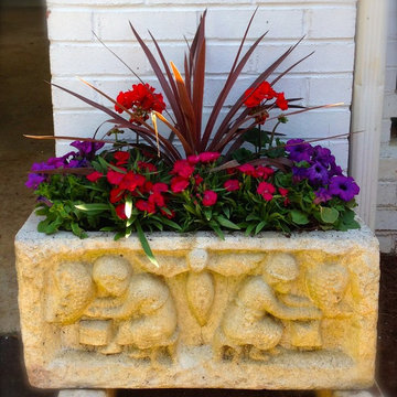 Spring Container Planting