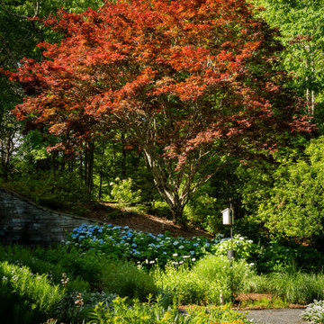 Backyard garden sanctuary