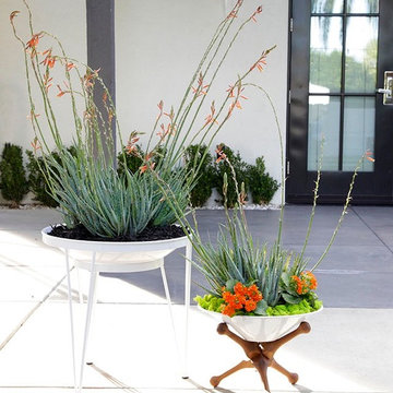 Steel Life's Shallow Root Vessel | Frost