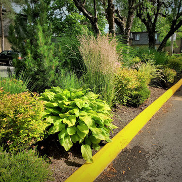 NEW LANDSCAPE DESIGN