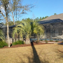 Landscaping Ideas