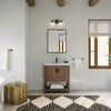 The Betsy Bathroom Vanity, Brown, 30", Single Sink, Freestanding