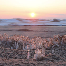 Beach Ice Crystals - Prints And Posters