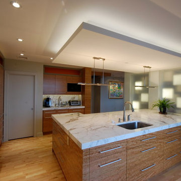 Oakland Condo Renovation