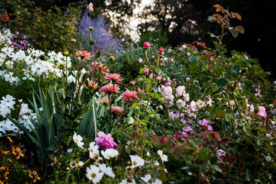 This is an example of a landscaping in San Francisco.