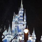 Anna Vaughn's photo