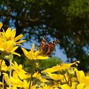 Cynthia Binns's photo