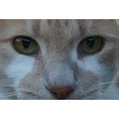 Grace Fruin's photo