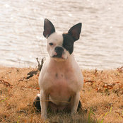 Robyn Roelofs's photo