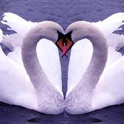 Jenny Piazza's photo