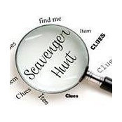 Serena Cohen's photo