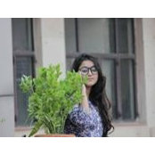 Vashundhara Singh's photo