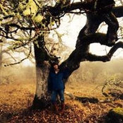 Jane P's photo