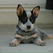 Laura Harper's photo