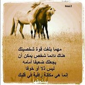 Foto von عبد الملك اليافعي