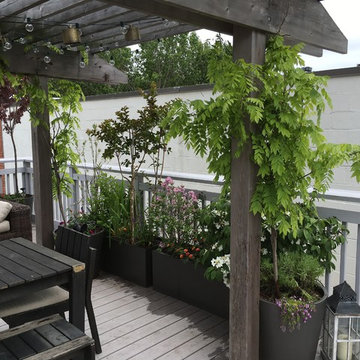 Decks design and planting