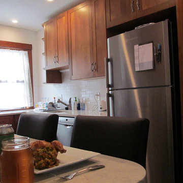 Roslindale Galley Kitchen in Alder