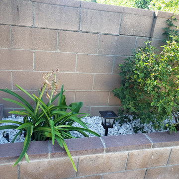 Backyard clean up and remodel
