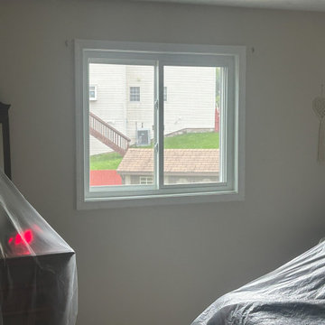 New Windows, Exterior painting and shadow box fence
