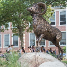 Chill Ram Statues
