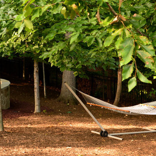 ワシントンD.C.のトラディショナルスタイルのおしゃれな裏庭 (日陰、マルチング舗装) の写真