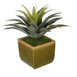 House of Silk Flowers, Inc. - Artificial Star Succulent in Olive Green Ceramic Vase - This contemporary artificial star succulent is handcrafted by House of Silk Flowers. This plant will complement any decor, whether in your home or at the office. A professionally-arranged star succulent is securely "potted" in an olive green ceramic vase (5" tall x 5 1/2" x 5 _").  It is arranged for 360-degree viewing. The overall dimensions are measured leaf tip to leaf tip, bottom of planter to tallest leaf tip: 12" tall x 12" diameter. Measurements are approximate, and will be determined by your final shaping of the plant upon unpacking it. No arranging is necessary, only minor shaping, with the way in which we package and ship our products. This item is only recommended for indoor use.