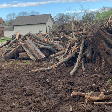 Land Clearing