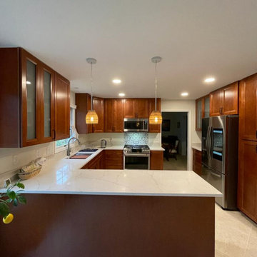 Kitchen Project, Silver Spring MD