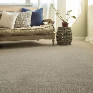 Pet Friendly Carpet