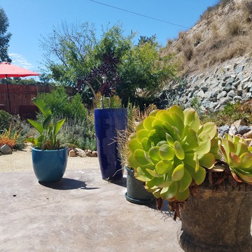 Mid Century Moder Home San Diego Xeriscape Landscape
