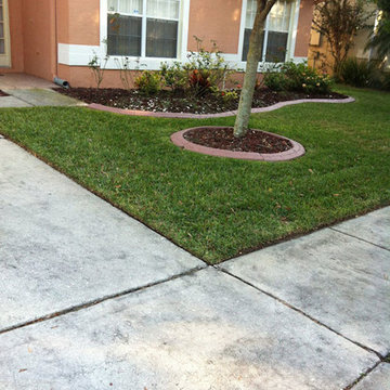 Our Work