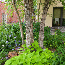 Houston Garden Design